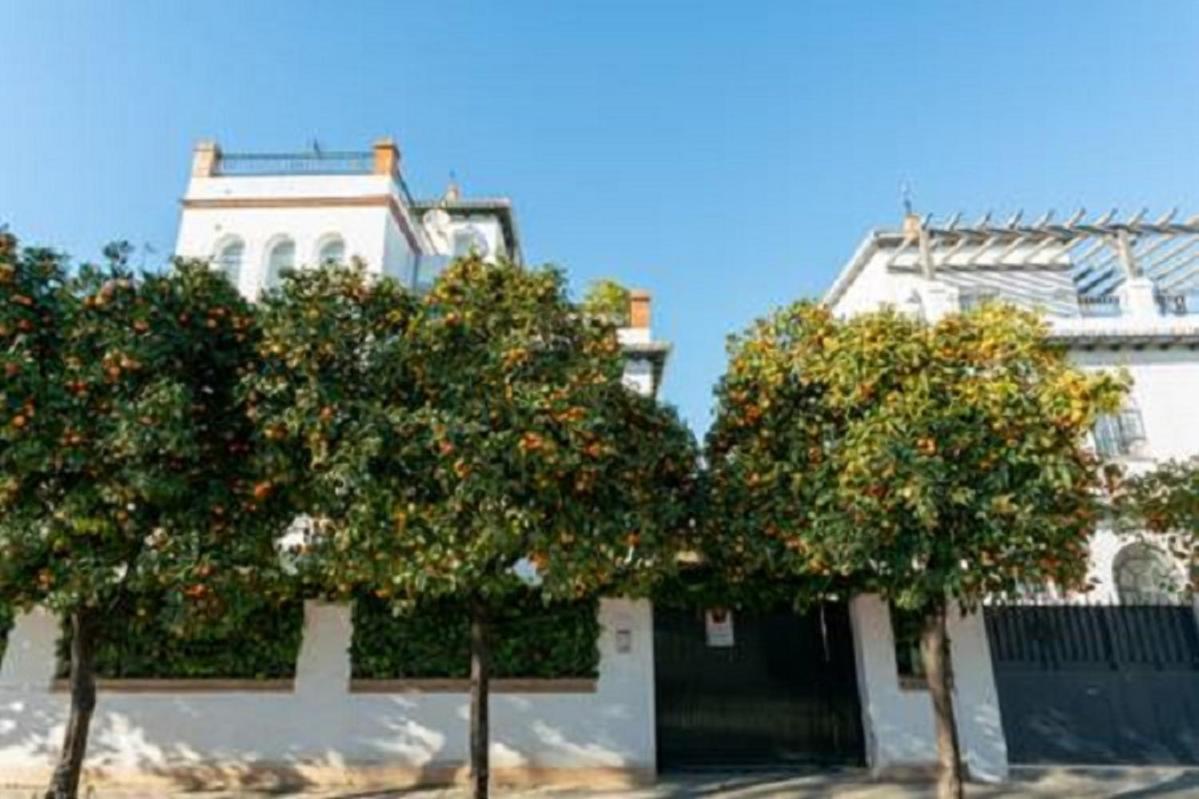 Apartment Casa Jucar 4 Sevilla